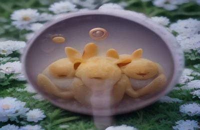 用户在9191tv注册页面填写信息的手机屏幕截图，表单字段清晰可见